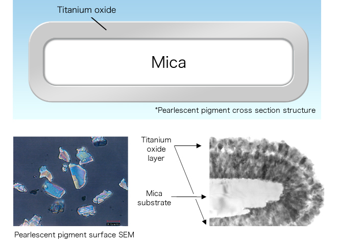 Pearlescent pigment cross section structure